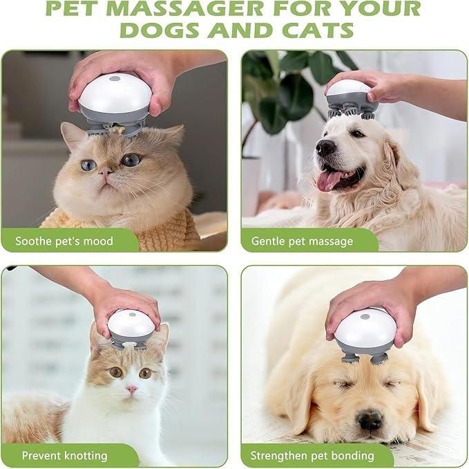 Electric Head & Pet Massager