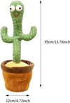 Thumbnail2
