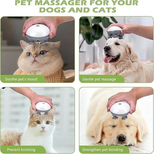 Electric Head & Pet Massager